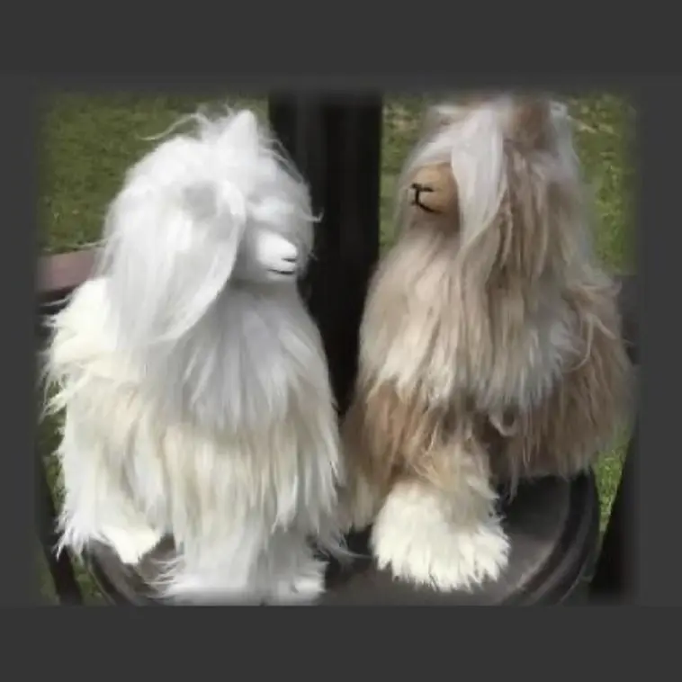 White and beige long-haired alpaca plush animals from Blue Meadow Llamas