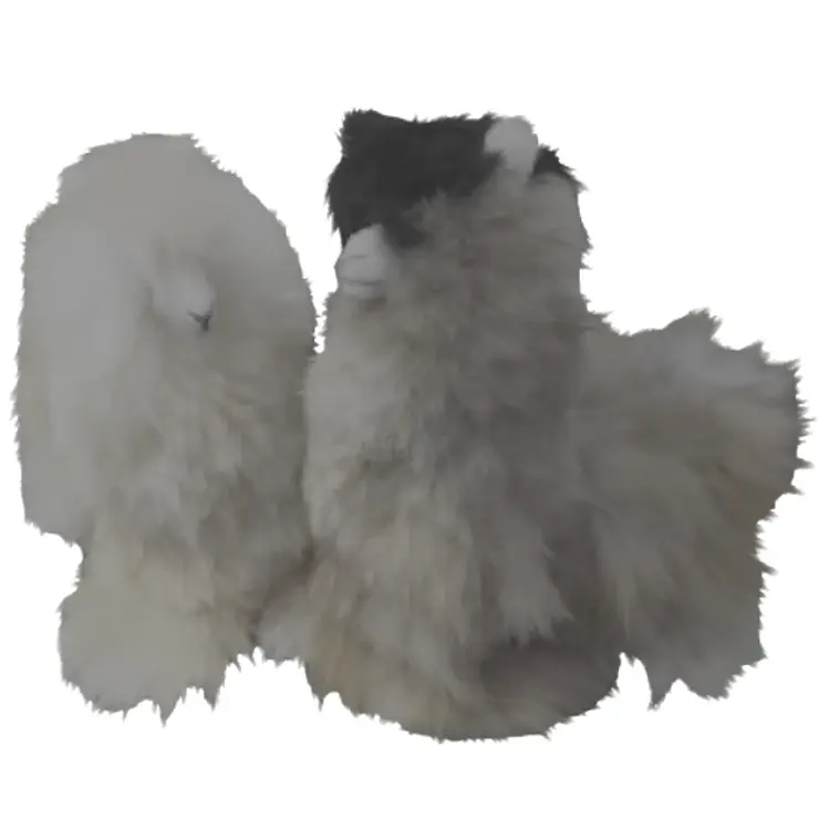 Gray and cream alpaca plush animals from Blue Meadow Llamas